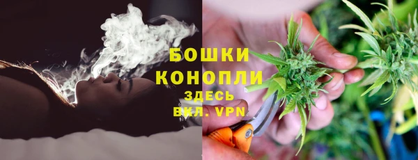 гашик Белокуриха