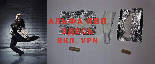 гашик Белокуриха