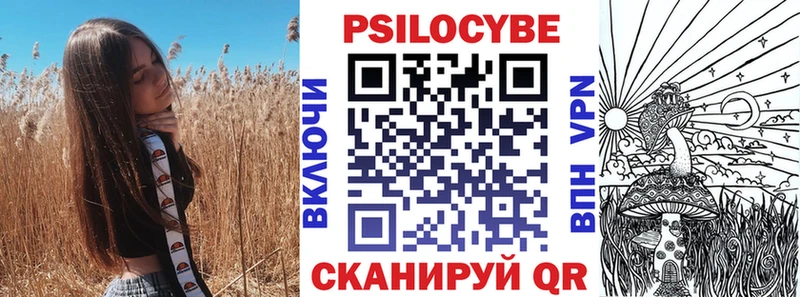 магазин продажи   Судогда  Галлюциногенные грибы мицелий 